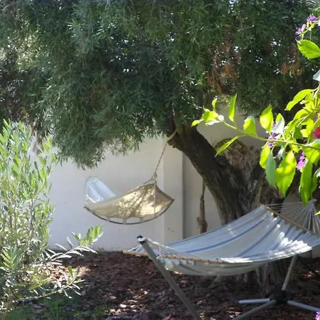 Chalet Olive Tree House
