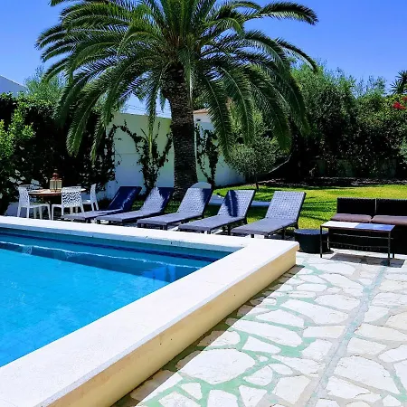 Olive Tree House * San Juan (Alicante)